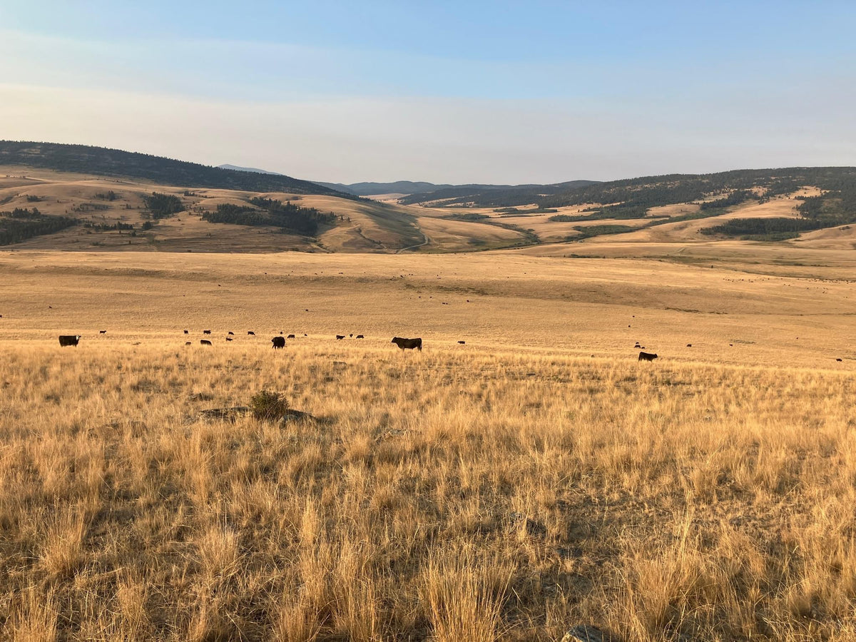 Amazon Brand Ranch Our Story – Ranch Brand Meat Company